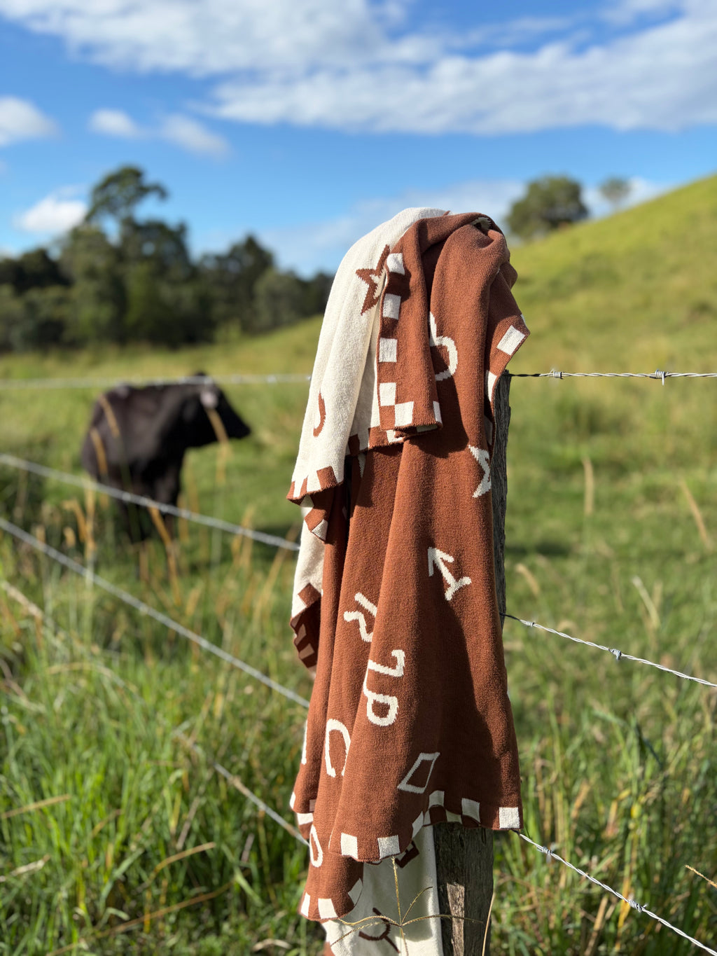 Little Brand Blanket