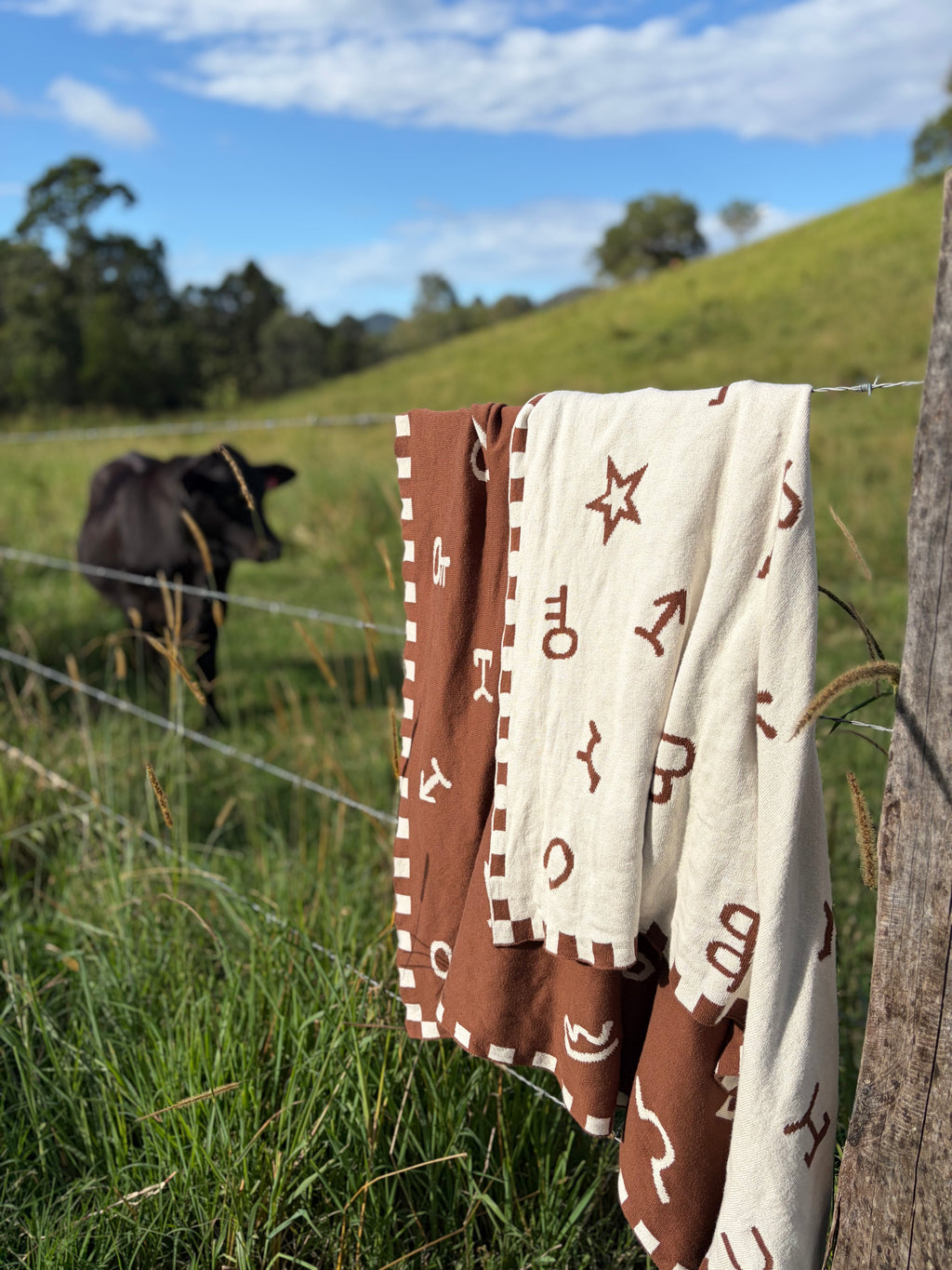 Little Brand Blanket
