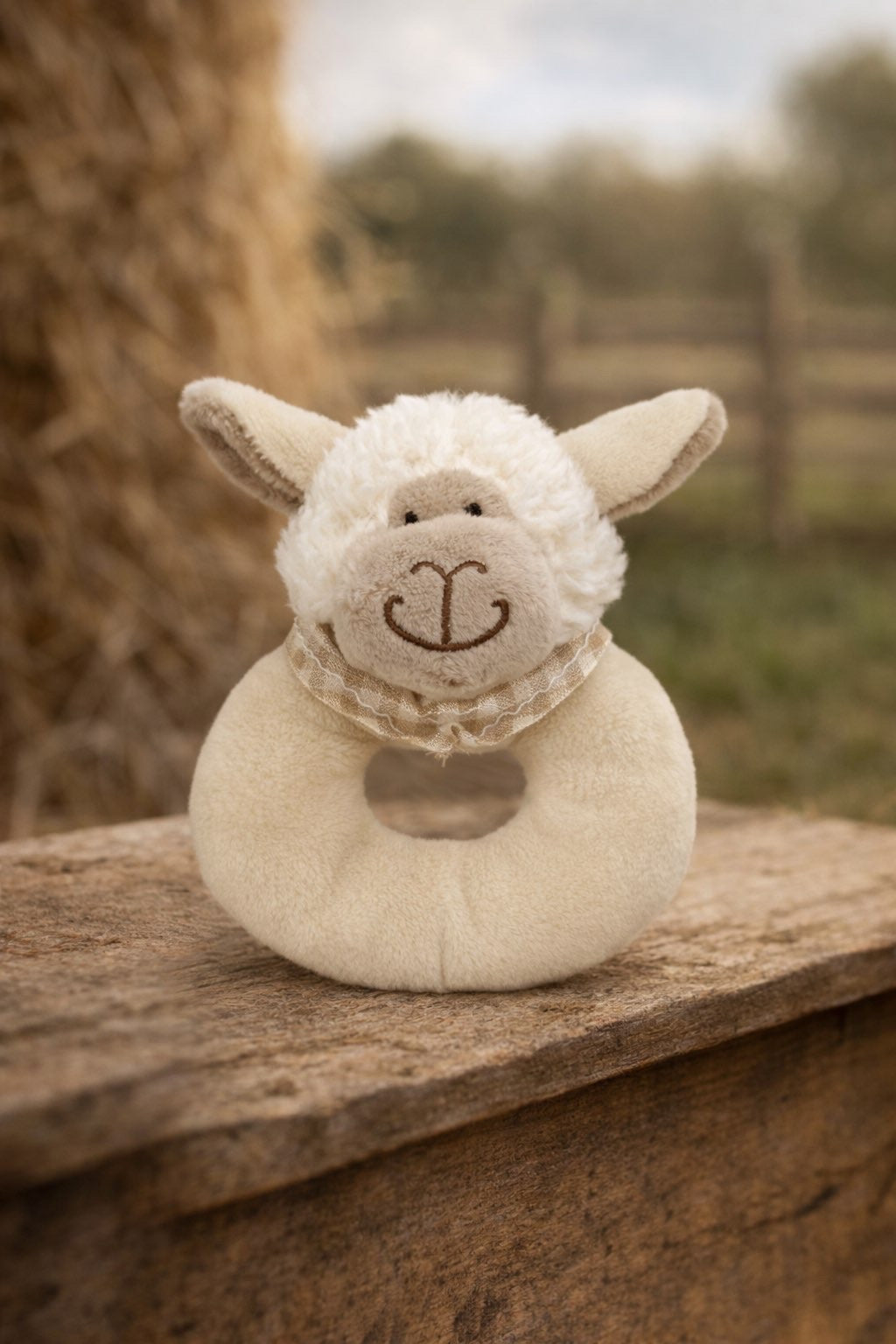 Farm Yard Rattle